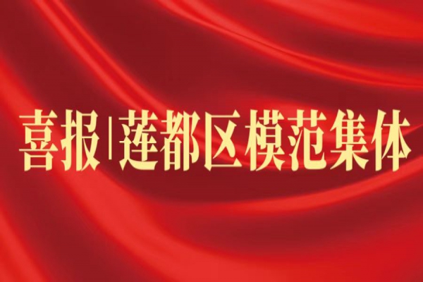 喜報丨浙江中立建設(shè)榮獲蓮都區(qū)“模范集體”稱號！